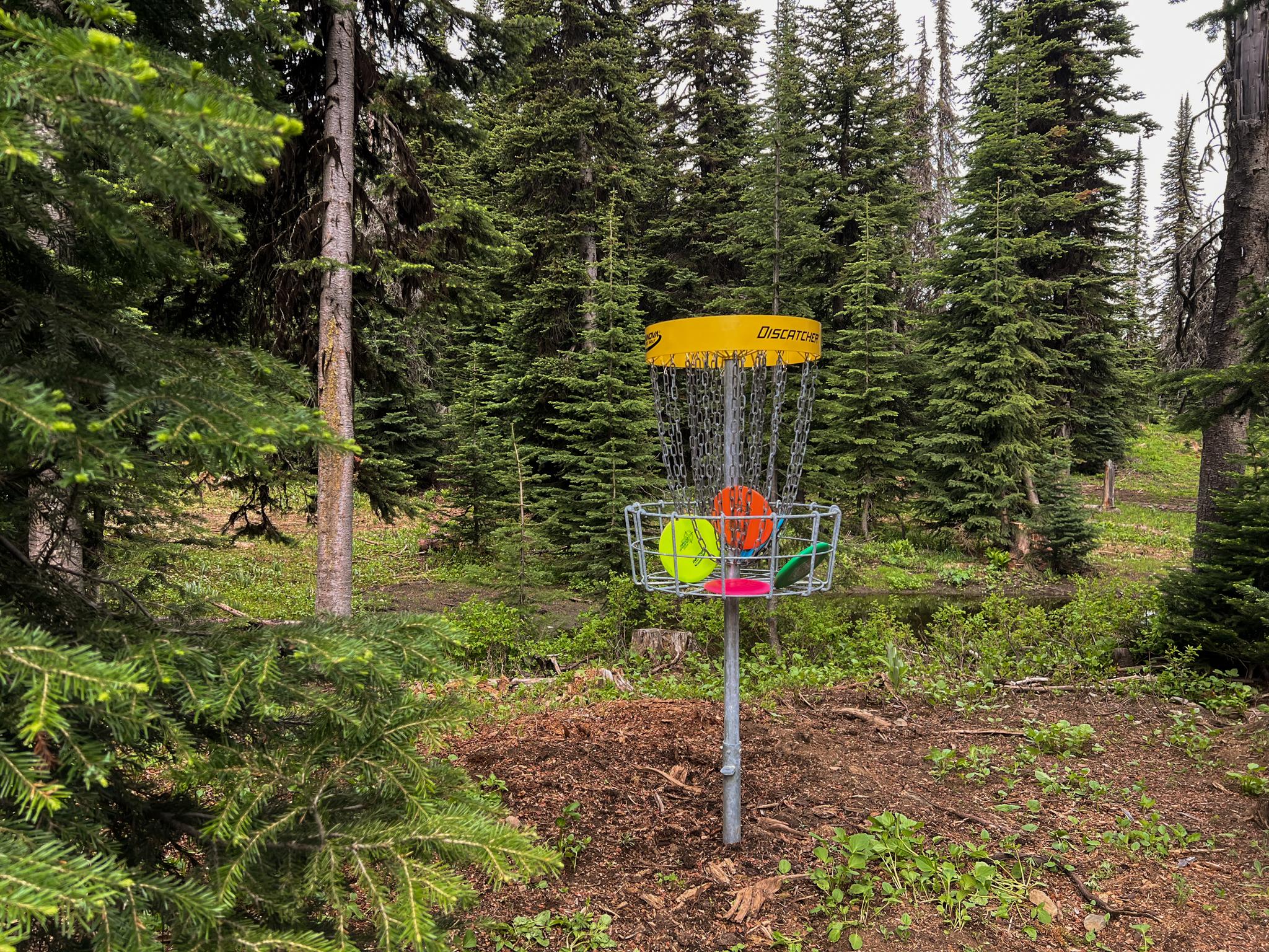 Disc Golf Sun Peaks Resort